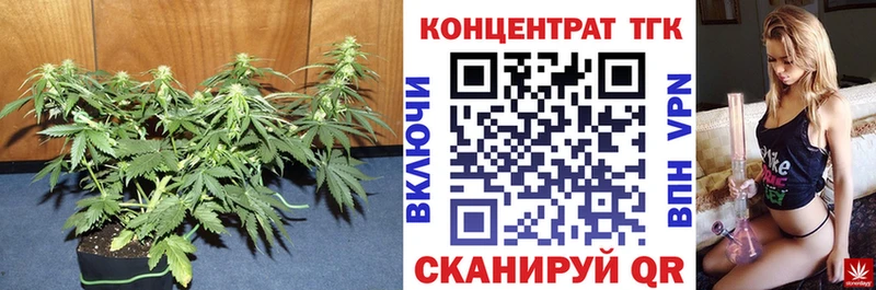 Дистиллят ТГК вейп с тгк  дарнет шоп  Иноземцево 
