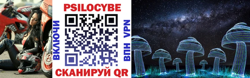 Галлюциногенные грибы Psilocybine cubensis  Иноземцево 